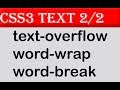 css3 tutorial - css3 Text Effects part 2