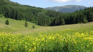 Отдих и приключения в района на Юндола