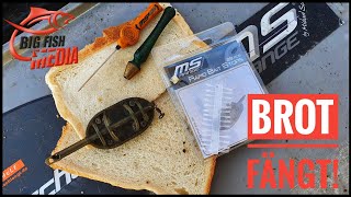 Feedern mit Brot: Klassischer Köder fürs Friedfischangeln | Tipps vom Profi