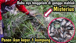 Perangkap ikan bubu lele di ganggu mahluk MISTERIUS..!!! Panen ikan kepar.