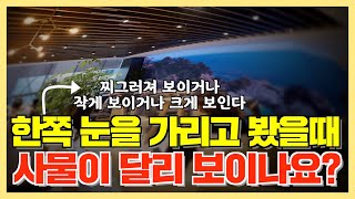 망막질환의 적색경고! 변형시 | 변시증 | 망막질환 | 카이안과TV