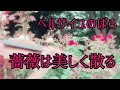 『べルサイユのばら 薔薇は美しく散る』バイオリンで弾いてみました。violin 石川寛子