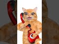 cute cat catlover funny like and subscribe 🙂🙂