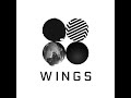 interlude wings