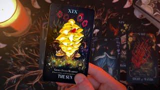 Kto Cię skrycie obserwuje? 👀❤️😮 #tarot #wróżby