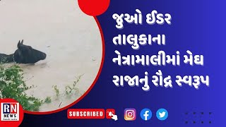 જુઓ ઈડર તાલુકાના નેત્રામાલીમાં મેઘ રાજાનું રૌદ્ર સ્વરૂપ