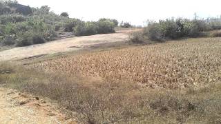 106 ACRES FOR SALE @ 3 LAKHS AT MULAGA NEAR PARVATHI PURAM AP INDIA