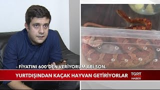 Yurt Dışından Kaçak Hayvan Getiriyorlar