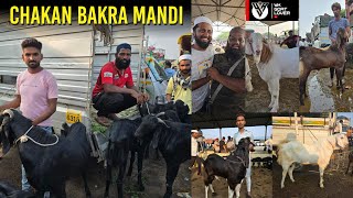 Pune's Biggest Bakra Mandi CHAKAN BAKRA MANDI EID SPECIAL  I YK Goat Lover