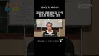 강아지들이 실내배변을 하지 않으려 애쓰는 이유 #실내배변 #실외배변 #강아지배변훈련