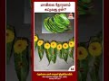 மாவிலை தோரணம் கட்டுவது ஏன் ஆன்மிகம் அறிவோம் bairava peedam