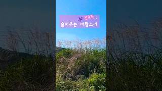 숨어우는 바람소리  #전유진#이정옥#현역가왕