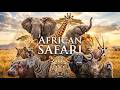 African Wildlife 4K 🌎 Untouched Jungle Life & Hidden Wildlife | Relaxing Nature Music