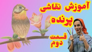 آموزش نقاشی پرنده آسان با مداد رنگی قسمت 3 | نقاشی پرنده ساده گنجشک دوم