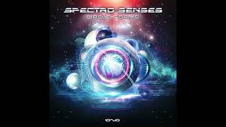 Spectro Senses, Kbyte - First Contact