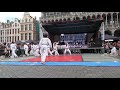 folklorissimo 2017 taekwondo performance