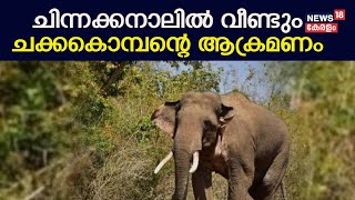 Wild Animal Attack | ചിന്നക്കനാലിൽ വീണ്ടും ചക്കകൊമ്പന്റെ ആക്രമണം | Chakkakomban | Chinnakanal