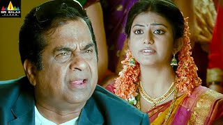 Naayak Movie Brahmanandam Pellichoopulu Comedy | Latest Telugu Scenes | Ram Charan @SriBalajiMovies