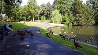 Walking tour of City park Valkenberg, Breda Netherlads 【4K】Part II.