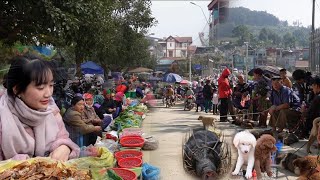 SỐC! Chợ Phiên Bắc Hà – Nơi Bán Loại Chó Độc Nhất Vô Nhị Và Rất Nhiều Thảo Dược Rừng Qúy Hiếm