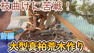 【盆栽】第１４弾前編　大型真柏荒木作り　枝曲げに苦戦！