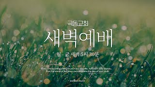 2025/01/24 극동교회 새벽예배 | 출애굽기 20-22