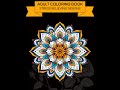 Adult Coloring Book Activity: 40 Pages Stress Relief Designs. Mandalas, Landscapes, Roses, Flowers