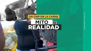 Chip de perro en anticucho callejero: ¿Qué carne nos venden en la calle?