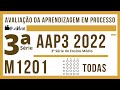 3ª SÉRIE DO E.M - AAP3 M1201 MATEMÁTICA - AAP3 3º BIMESTRE 2022