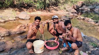 डोह उपसुन मासे पकडण्याची धम्माल  | कोकणातील उन्हाळ्यातील मासेमारी | Traditional fishing #Tejagurav