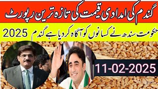 نئی گندم کی امدادی قیمت کا فائنل اعلان 2025/wheat support price in Punjab pakistan/local farmer