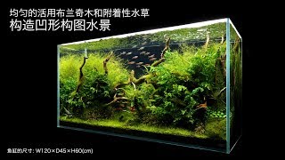 [ADAview] 120cm水草造景 沉木与附着性水草的凹型构图