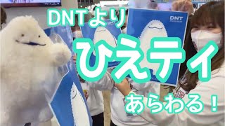 【DNT】ひえティにプレゼントもらいました🎁