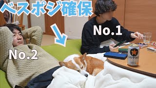 我が家の格付けNo.１とNo.2に挟まれてご満悦なコーギー犬