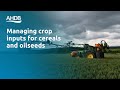 Managing crop inputs for cereals and oilseeds – Agronomists’ Conference 2022