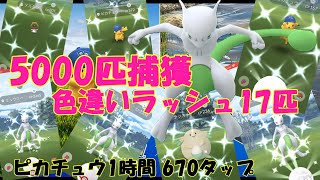 【5000匹捕獲してみた】ポケカコラボイベント