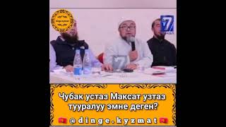 Чубак устаз Максат устаз тууралуу эмне деген?