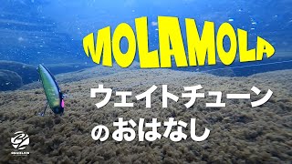 モラモラのウェイトチューンについて話してみた。あくまでも遊び方の一手として参考に。