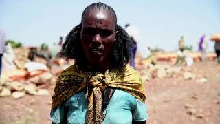 Ethiopia's Tigray fears food shortages