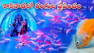 Kakinada first under water tennel fishes exhibition||cec facts||fish exhibition in Kakinada||cec