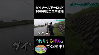 1000円でこれは反則！初心者に絶対おすすめなダイソールアーロッド！ロッドのクオリティが高すぎてシーバスも簡単に釣れる#shorts