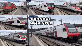 Züge beim Bahnhof Mägenwil | Trains at Mägenwil station (2024)