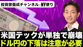 米国テックが崩壊！本当に続くのか？ドル円の下落には注意。