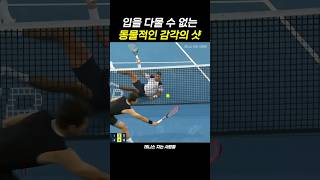 입을 다물 수 없는 동물적인 감각의 샷 #tennis #sports #테니스 #스포츠