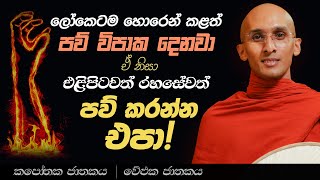 42. ලෝකෙටම හොරෙන් කළත් පව් විපාක දෙනවා. ඒ නිසා එළිපිටවත් රහසේවත් පව් කරන්න එපා! | කපෝතක ජාතකය