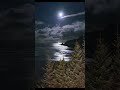 gorgeous beach sunset pics shorts viralvideo viralshorts beautiful amazing nature reels