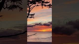 Gorgeous Beach Sunset pics #shorts #viralvideo #viralshorts #beautiful #amazing #nature #reels