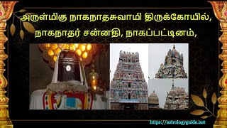 ராகு கேது தோஷ நிவர்த்தி தலம் - 6 அருள்மிகு நாகநாதசுவாமி திருக்கோயில், நாகநாதர் சன்னதி, நாகப்பட்டினம்