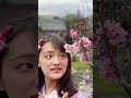 wen.【郊遊】花蓮景點《張家の樹園》有可愛小動物 還可以穿和服拍照 超讚！ 張家樹園