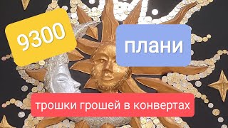 Лютий 2025#3. розподіляю гроші по конвертах. Особистий бюджет